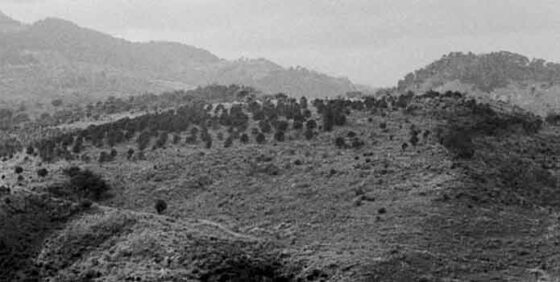 View from the Acropolis