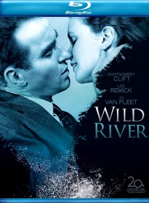 dvd WILD RIVER