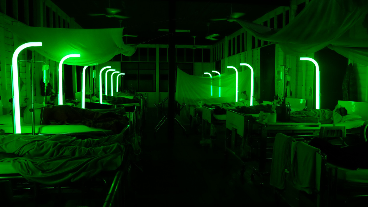 Cemetery of Splendour (Apichatpong Weerasethakul, UK/France