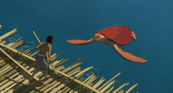 redturtle_01